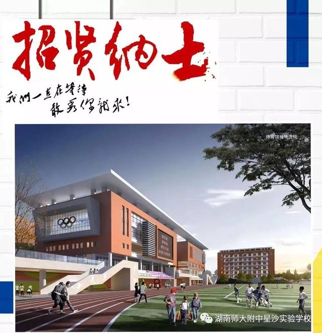 湖南师大附中星沙实验学校2019年教师招聘公告_手机搜狐网