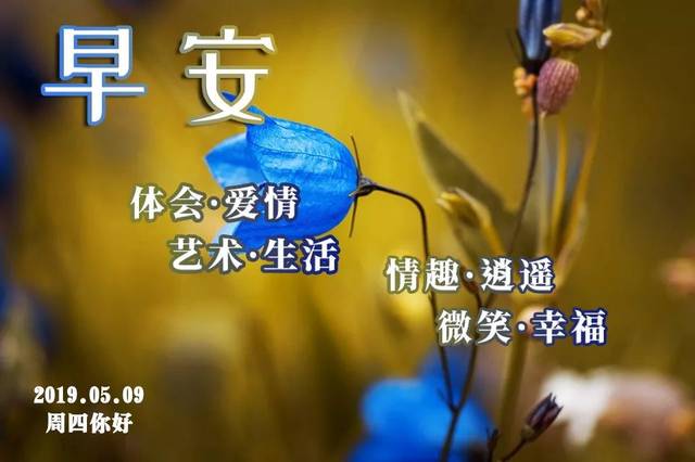 2019早上好新版鲜花祝福图片 早上好祝福表情问候图片带字温馨