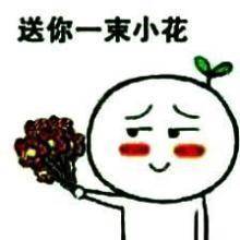 给花花的表情包|送你一朵花