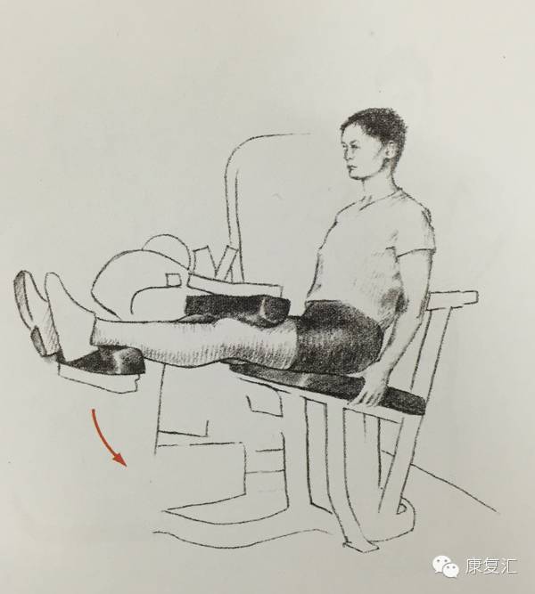 前交叉韧带重建术后康复训练