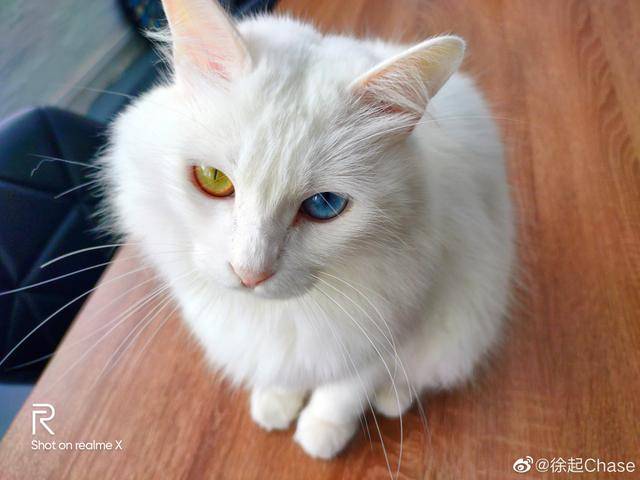 realme X又一特性曝光，确定屏下指纹！网友：每个爆料都力压红米