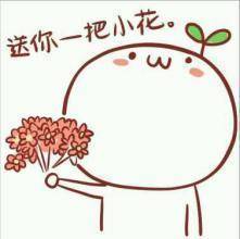 给花花的表情包|送你一朵花