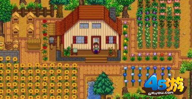 星露谷物语花舞节怎么找舞伴!