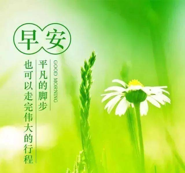 5月9号星期四早上好图片鲜花带字 5月新版的动画表情祝福图片问候早上