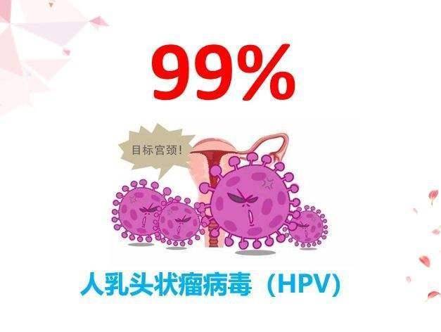 感染了高危型hpv就会得宫颈癌?一文告诉你真相,分析致癌过程