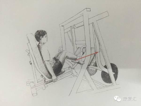 前交叉韧带重建术后康复训练