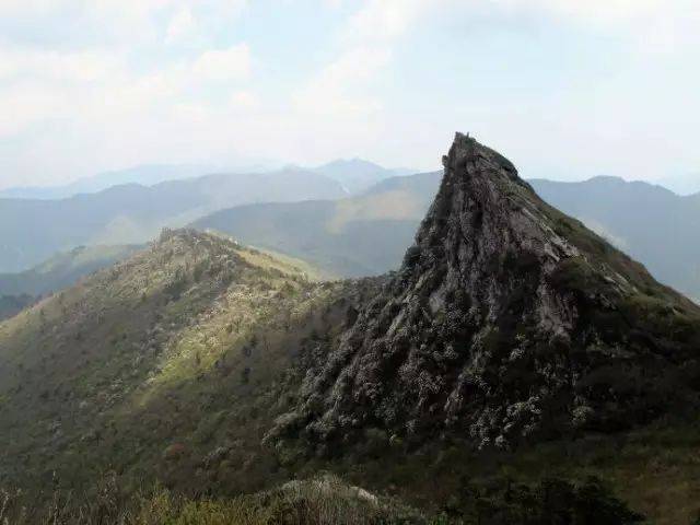 5月11日高山草甸-朝天场-分水岭经典穿越赏秦岭梁高山