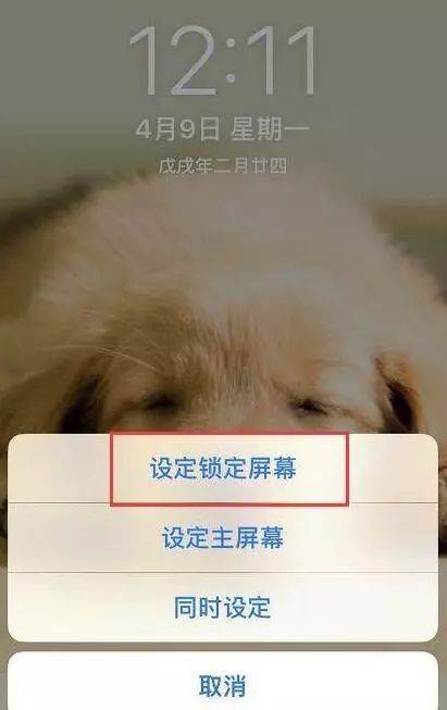 【每日一技】使用实况照片打造iPhone锁屏动