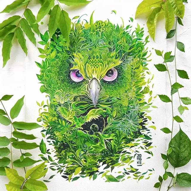 绿色的猫头鹰你见过吗 大自然提供了深不可测的灵感 在野外,动物和