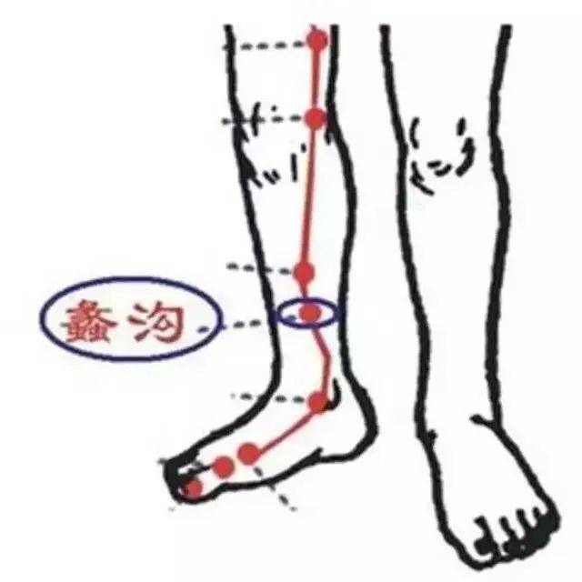 神奇的蠡沟穴,同时保健肝胆二经的穴位!