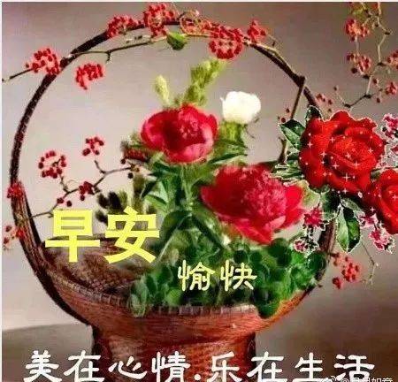 新的一天早上好问候语和关心话 05.10早上好祝福图片动态表情大全