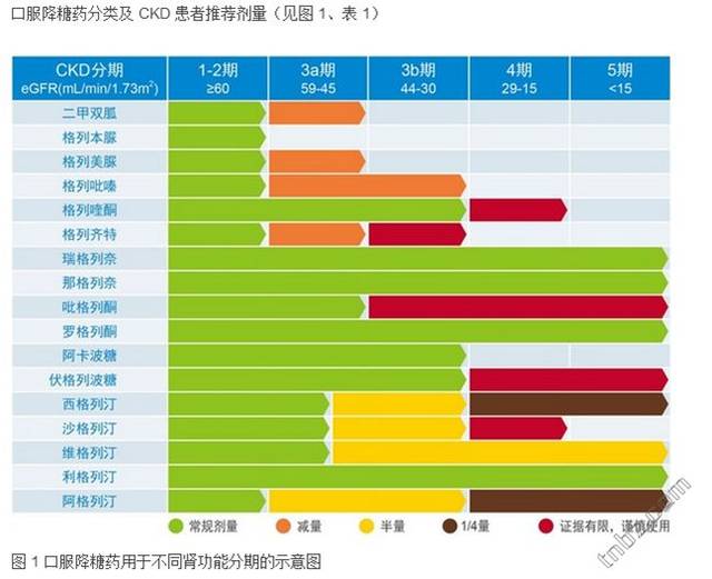 糖尿病肾病患者降糖药物的选择