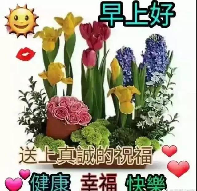 5月10日周五群发早上好问候祝福动态表情图片 最美早晨好问候表情动态