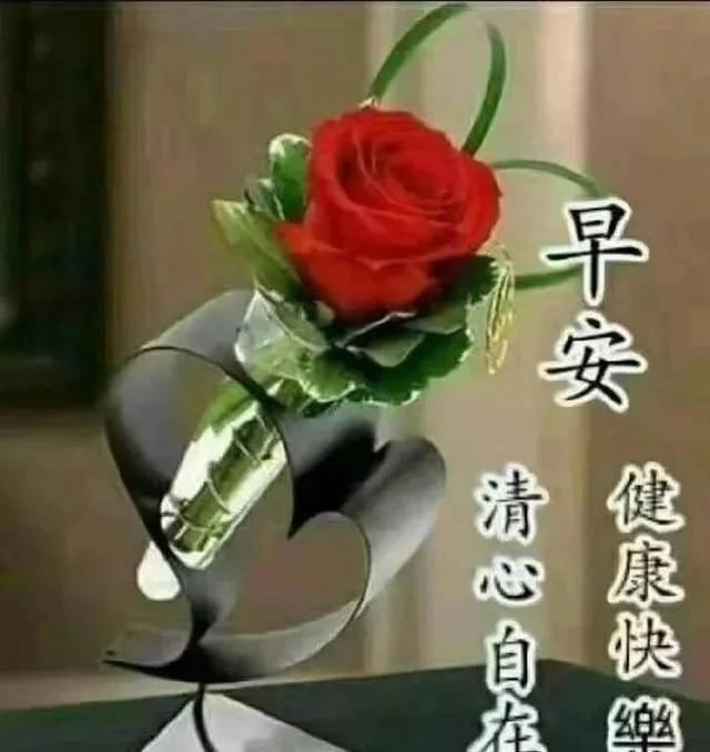 2019大家早上好新版祝福漂亮图片带字 清晨早上好问候