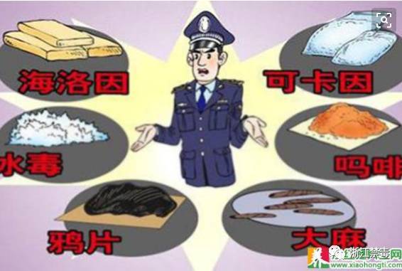嘀嘀嘀,满载禁毒微信表情包的老司机来了,各位同学快上车!