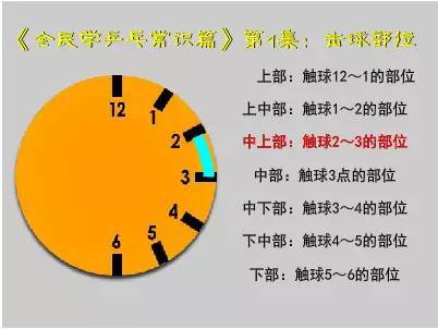 【教学 视频】《全民学乒乓常识篇》乒乓球击球部位