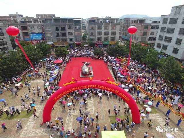 露圩是广西有名的蓝衣壮之乡,露圩镇壮族人民以蓝为美,人称"蓝衣壮".