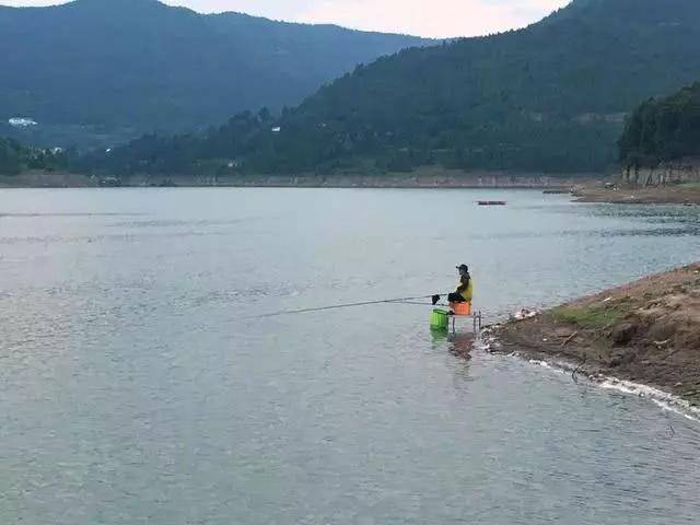 钓技提升:水库夜钓大鱼钓位选择技巧