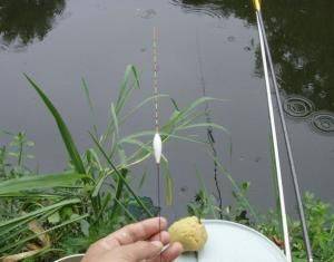 欢简单粗暴的?好!野钓最快最简单的调漂方法就