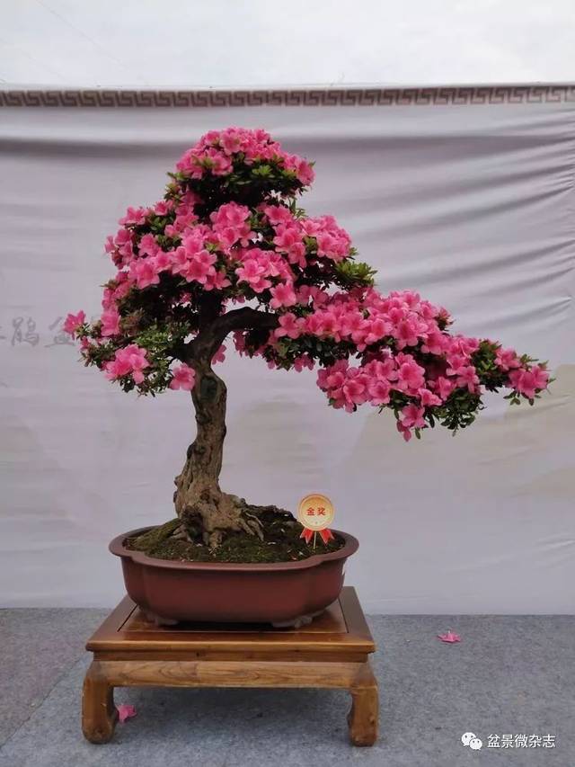 2019ǧž辰չƷ