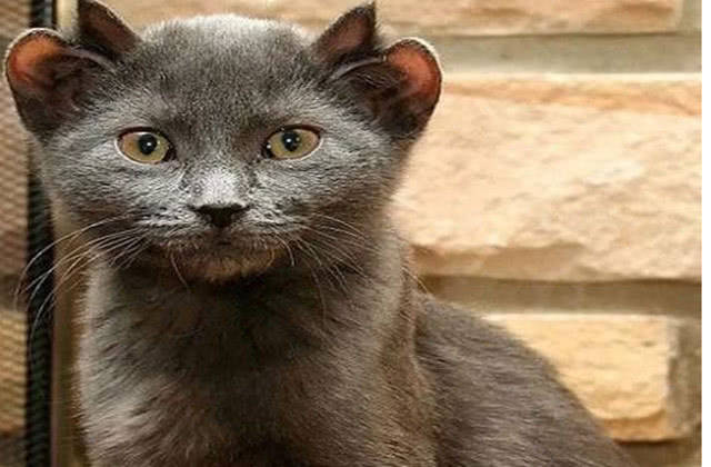 核辐射究竟有多恐怖?日本核泄漏后看这几张动