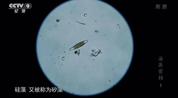 让尸体开口“说话”,央视爸爸手把手教你破悬案!