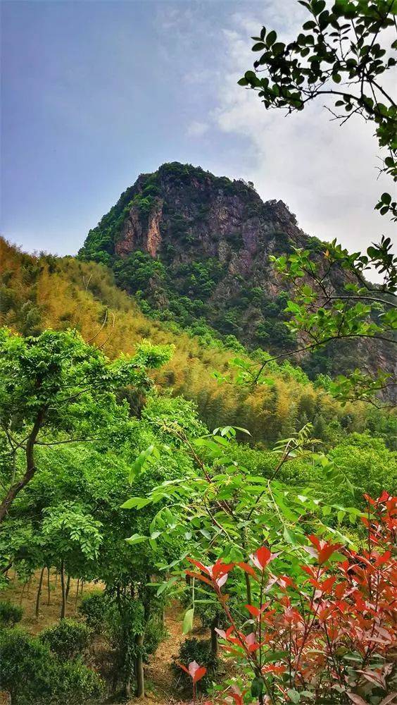 寻古探今③丨许询与楼塔的山水情缘之许玄度的粉丝