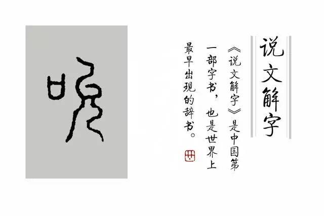 《说文解字》第149课:成语"含英咀华"的由来
