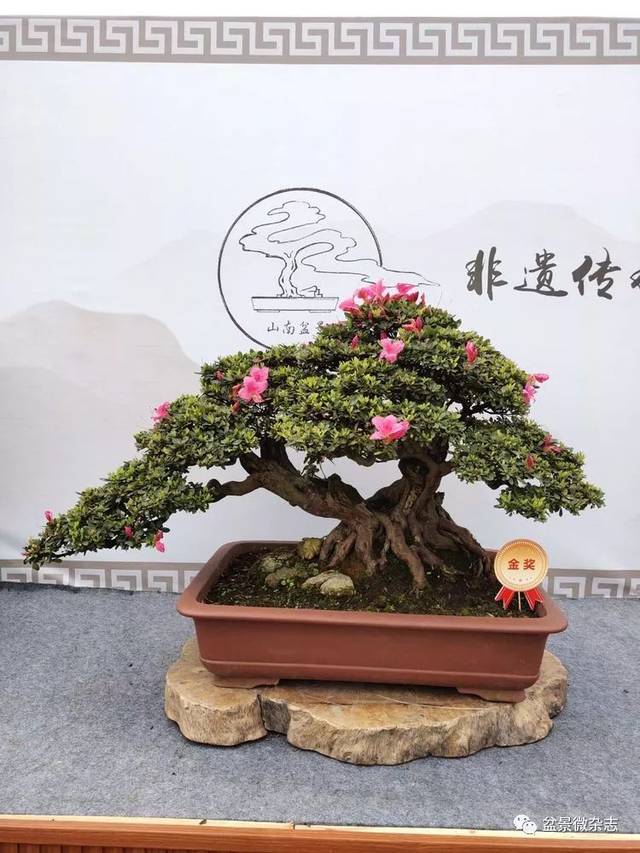 2019ǧž辰չƷ