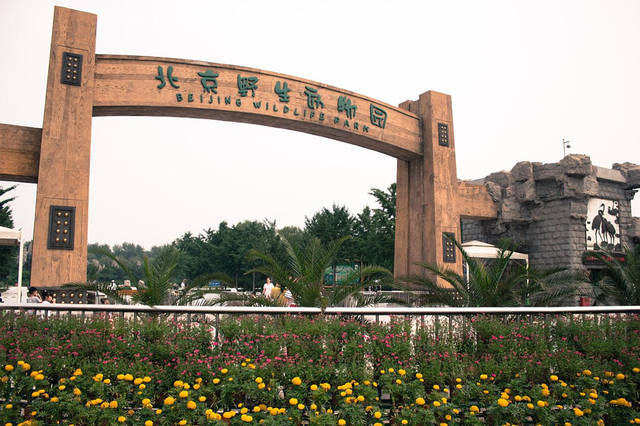 北京大兴机场首次试飞,周边旅游目的地盘点,你有去过吗?