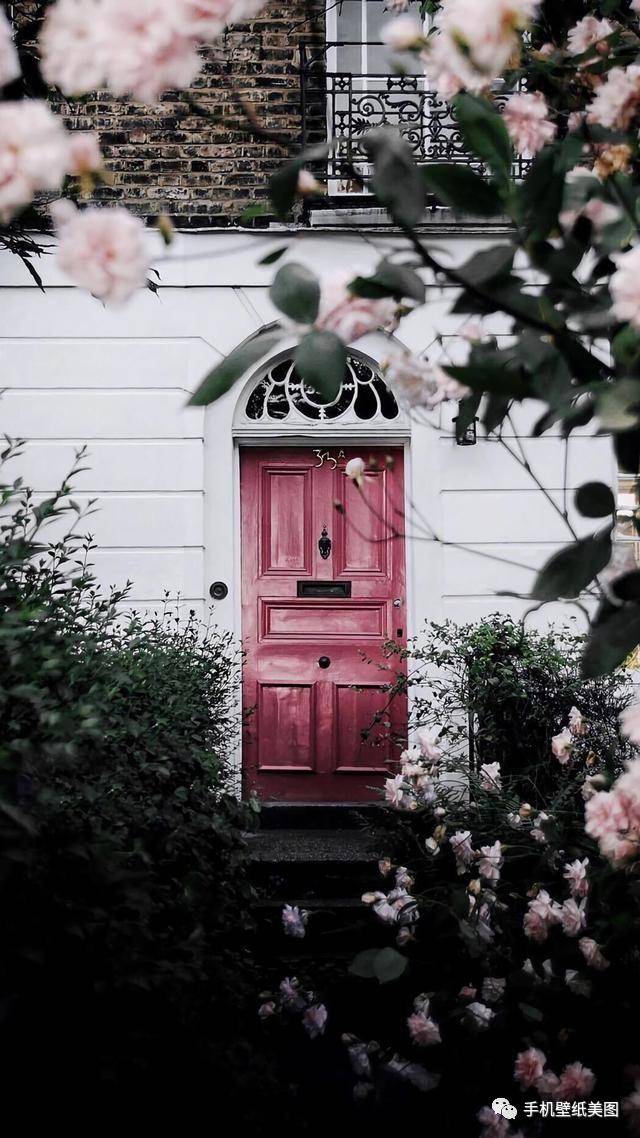 苹果手机锁屏壁纸,抖音壁纸原图