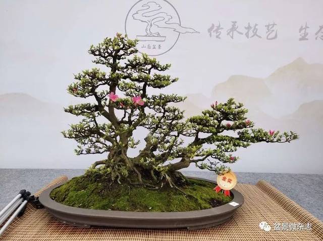2019ǧž辰չƷ