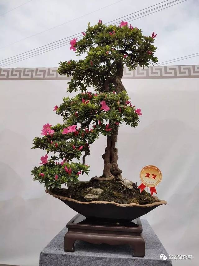 2019ǧž辰չƷ