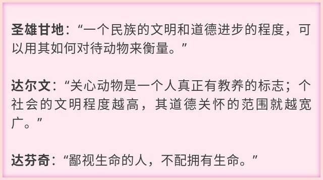【招募令】上海小小兽医夏令营全城招募体验官