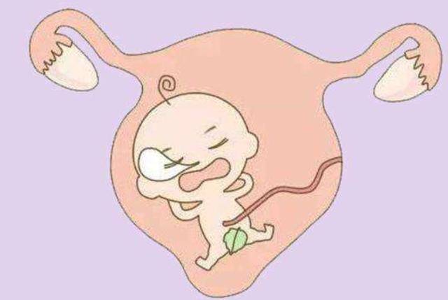 怀孕期间有性生活,宝宝能感受到吗?宝宝都有哪些感觉呢?