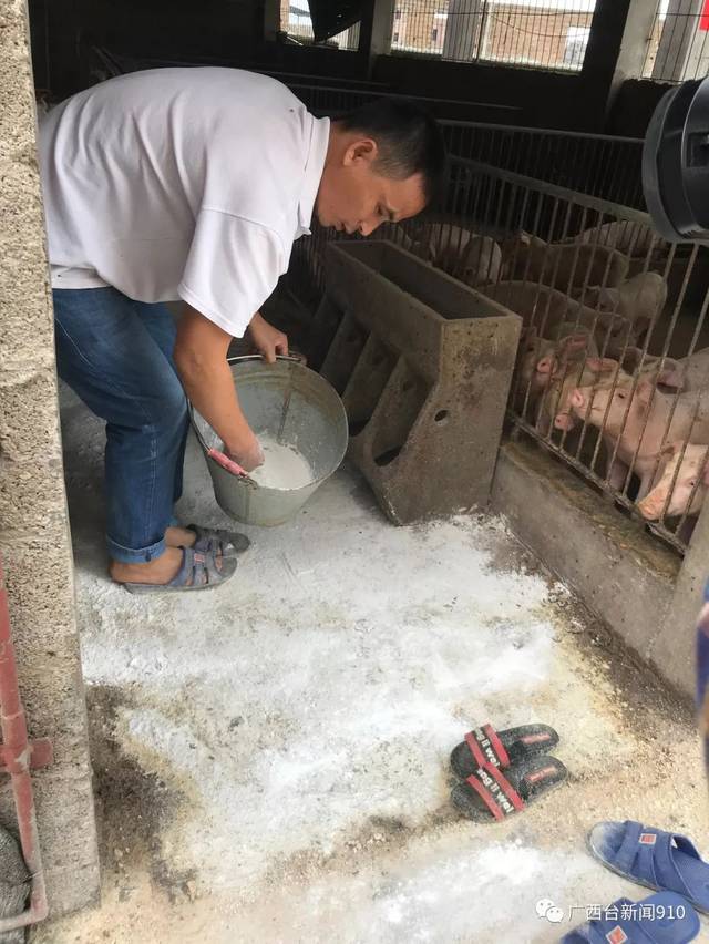 三滩镇良茂村养殖户刘先生的养猪场看到,这里大部分猪栏已经空荡荡了