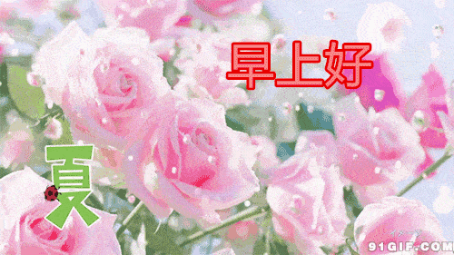 孟夏五月早晨好图片祝福 早上好问候语唯美句子