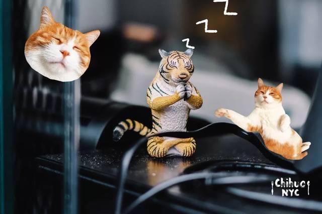 第一手测评!黑糖奶茶始祖,台湾老虎堂!想在法拉