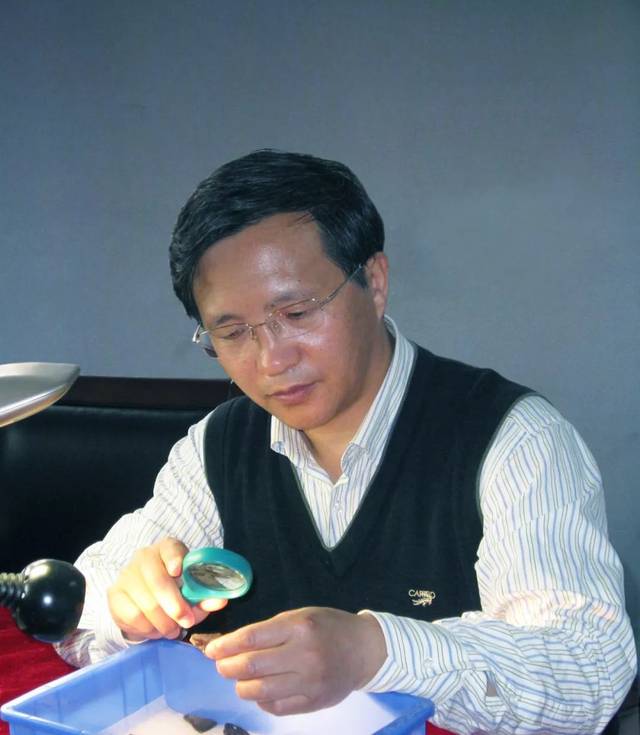 高星:寻远古文明之光 探人类起源之谜