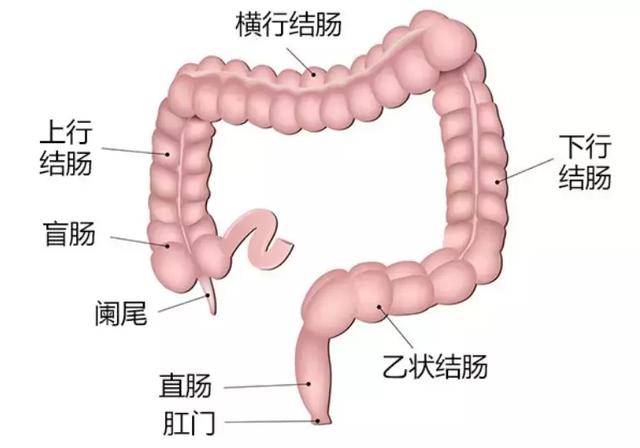 别什么东西都往肛门塞,真的会出事!医生要给你提个醒