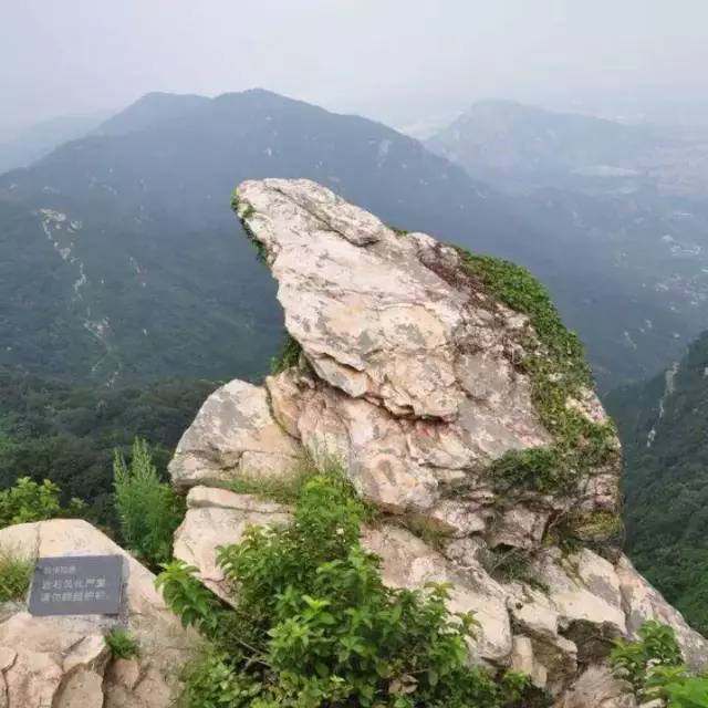 伊甸园 连云港花果山5a-傲来仙境-桃花涧品质二日游