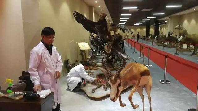省委书记、省长带队来德州了...去了这些地方!
