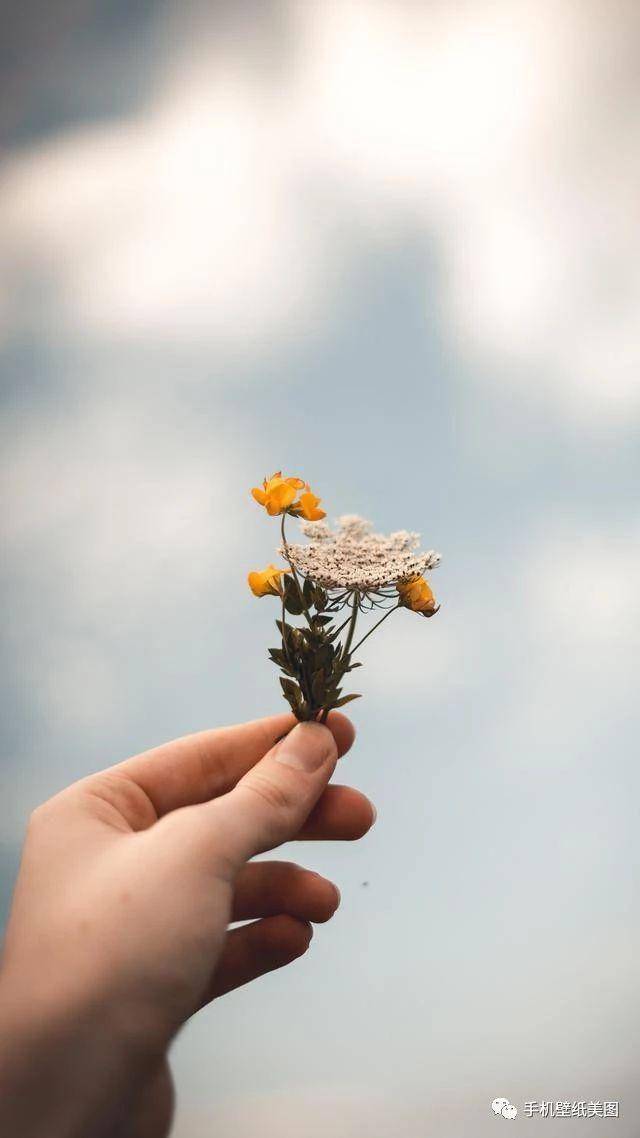 18:9超高清2k手机壁纸