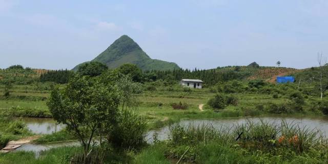 道县韵味【鬼崽岭】| "祭祀石"像鬼崽岭 "鬼崽井"泉水