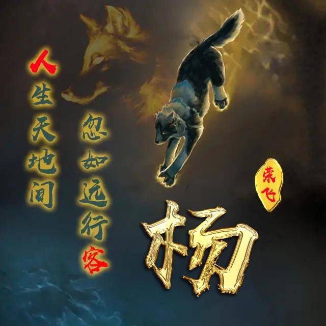 微信头像,姓氏头像,霸气励志狼图腾,纵有疾风起,人生不言弃!