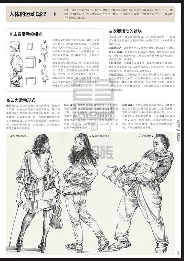 《《临摹宝Ⅲ·速写教案》》震撼上市!