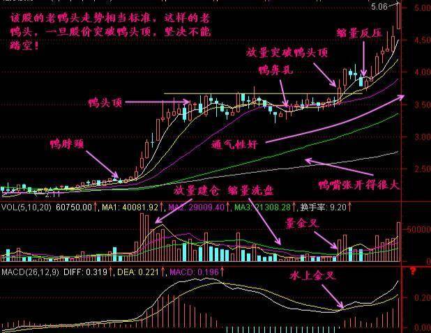 中国股市:一旦出现"鸭嘴张开"形态,马上满仓介入,股价