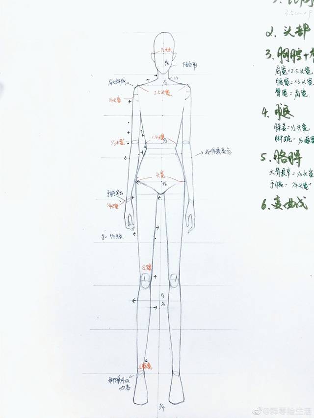 释零时装画教程 | 站立人体的绘画方法