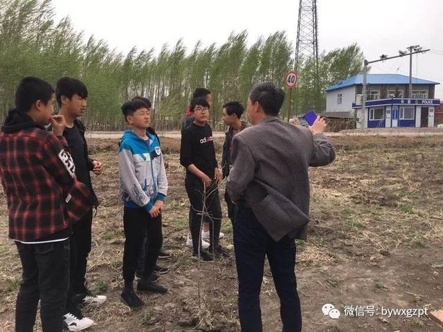 巴彦县天增镇爱民中学开展热爱家乡为家乡环境建设奉献自己聪明才智