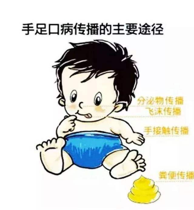 【阳光幼儿园】预防手足口病 守护儿童健康